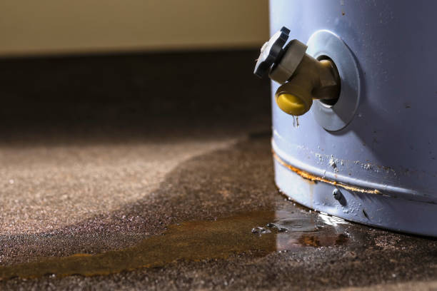 Best Emergency water damage restoration  in Doctor Phillips, FL