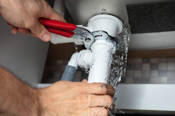 Best Carpet water damage restoration  in Doctor Phillips, FL