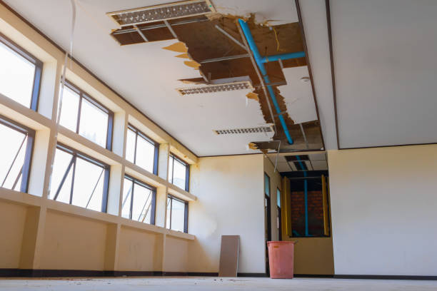 Best Water damage restoration near me  in Doctor Phillips, FL
