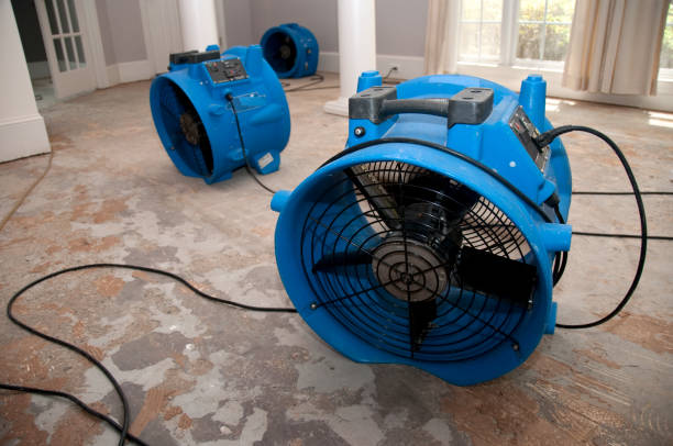 Best 24-hour water damage restoration  in Doctor Phillips, FL